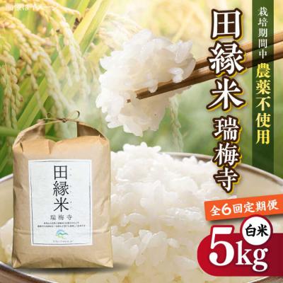ふるさと納税 糸島市 【全6回定期便】 田縁米(でんえんまい)・瑞梅寺(ずいばいじ) 白米 5kg 米 [ATM007]