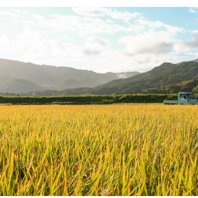 令和7年新米　大江山の麓、与謝野町で育った丹後産ミルキークイーン　精米5kg　おいしいお米を農家直送【1652508】