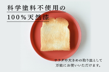 【RIN&CO.】越前硬漆 平皿M / 刷毛目技法 軽く丈夫な漆塗りの器＜越前漆器＞インディゴ（I-02） インディゴ（I-02）