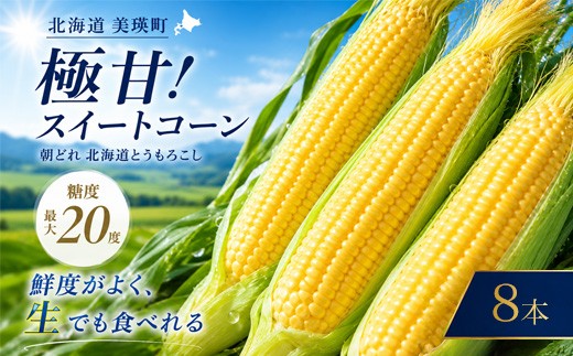 【令和9年先行予約】北海道 朝もぎ とうもろこし 8本 （ ほしつぶコーン ）【令和9年8月中旬発送】 スイートコーン 《美瑛町》【黒木農場】 イエローコーン とうもろこし トウモロコシ トウキビ とうきび toumorokoshi 北海道 北海道産 新鮮 甘い 糖度 朝どれ 朝採れ 甘いとうもろこし 甘い 野菜 採れたて野菜 冷蔵 夏野菜 極甘 旬 産地直送 [009-44]