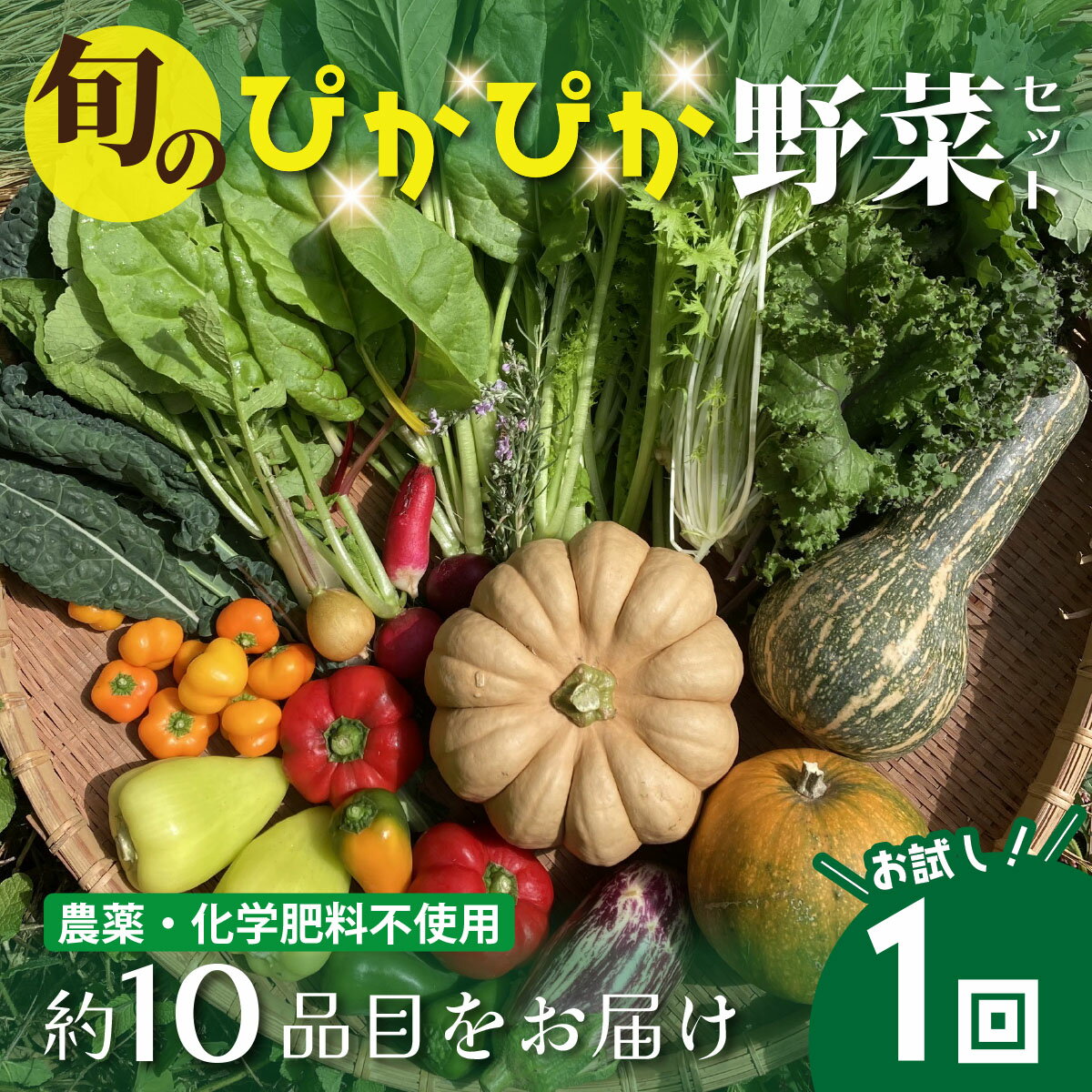 【ふるさと納税】農薬化学肥料不使用 雲の上ガーデンのぴかぴか野菜セット【お試し便】季節にあわせて10品目前後をお届け【L001】季節 旬 詰め合わせ 採れたて 新鮮 産地直送 高知県産 冷蔵便