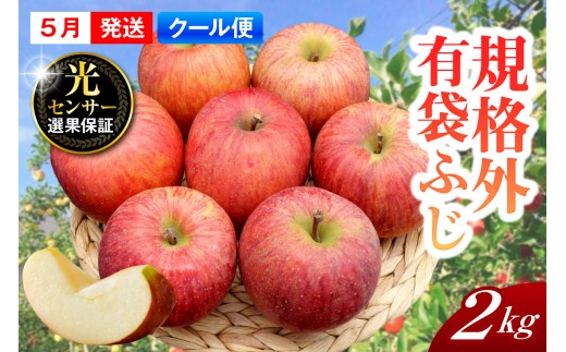 【2026年5月上旬発送】【規格外】 りんご 有袋ふじ 約2kg スマートフレッシュ™貯蔵 または CA貯蔵 【クール便】 青森県産