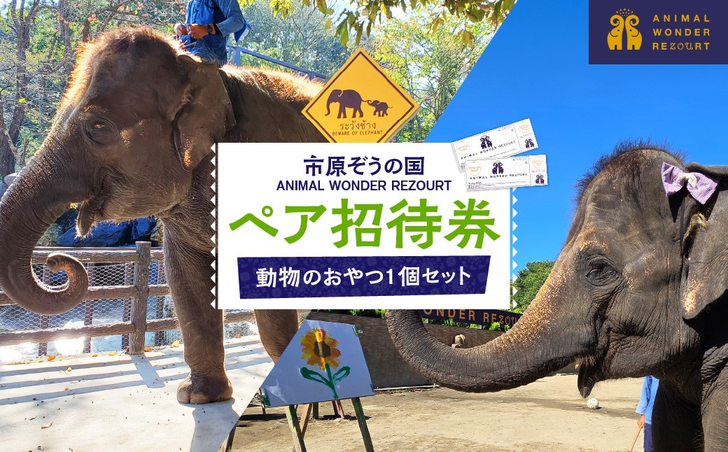 
                  市原ぞうの国 ペア招待券＋動物のおやつ1個セット
                