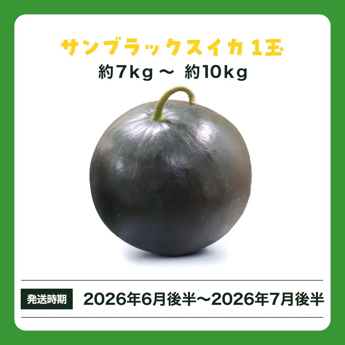 【先行予約】サンブラックスイカ　SMAF005