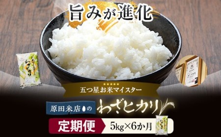 【6ｶ月定期便】わざヒカリ5kg 米 JS-338