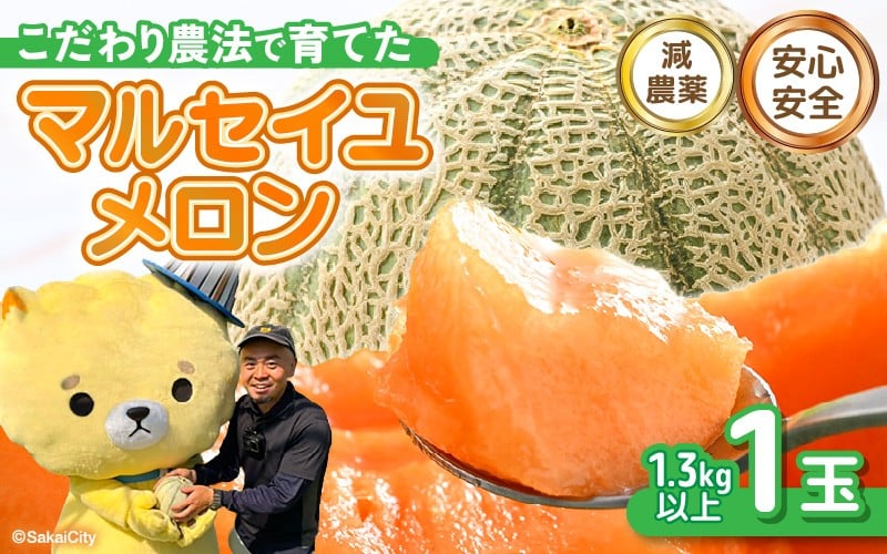 
            【先行予約】 安心安全！減農薬！こだわり農法で育てたマルセイユメロン 1玉  (1玉あたり：1.3kg以上) 【2026年6月中旬以降順次発送予定】 【メロン めろん 赤肉 フルーツ デザート 果物 くだもの 果実 糖度 甘い 産地直送 国産】 [A-21205]
          