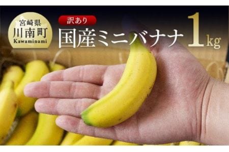 【訳あり】国産ミニバナナ1kg【国産 バナナ 無農薬 フルーツ 果物 デザート 朝食 スムージー 訳ありバナナ】