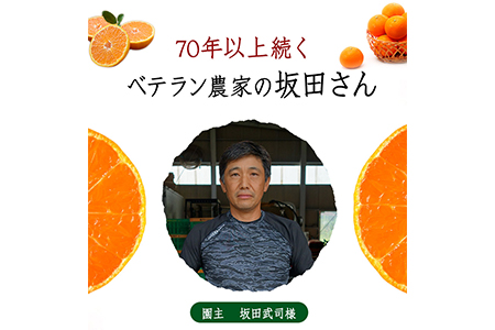 みかん ご家庭用 約10kg 坂田農園 みかん
