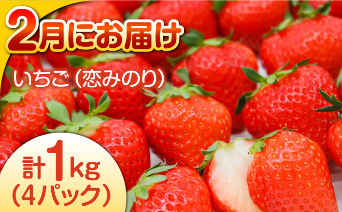 【偶数月 6回定期便】長崎・南島原グルメ バラエティ定期便 / バラエティ セット 野菜定期便 フルーツ定期便 フルーツ 果物 野菜 やさい そうめん 角煮 皿うどん ちゃんぽん / 南島原市 / 贅