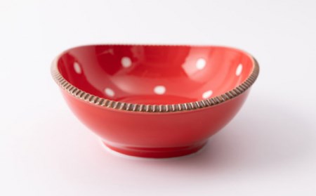いげ皿楕円鉢赤水玉20cm1点 NAZ509 
