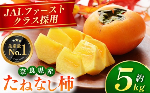 大人気 ！ JAL ファーストクラス 採用  たねなし 柿 約 5kg 箱 （ 18～24個入 ）  |  リピーター 多数 フルーツ 果物 くだもの かき カキ たねなし 種無し 種なし 奈良県 五條市 西岡農園 大容量 たっぷり 種なし 甘い 10月 11月 秋 旬 食物繊維 豊富 美容 健康 農家直送 産地直送 お取り寄せ グルメ 送料無料 低農薬 自宅用