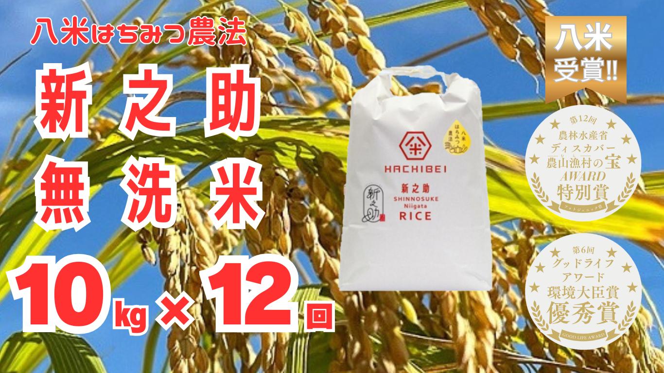 
                  【令和8年産新米予約】【環境大臣賞受賞】【特別賞受賞】12ヶ月定期便 無洗米 新之助 10kg×12回 計120kg 農家直送 ほんのり甘い「はちみつ農法」 白米 精米 HACHIBEI 八米 新潟県 米 こめ コメ 新米 新米予約 令和8年度産 10月中旬より順次発送予定 1L28289
                