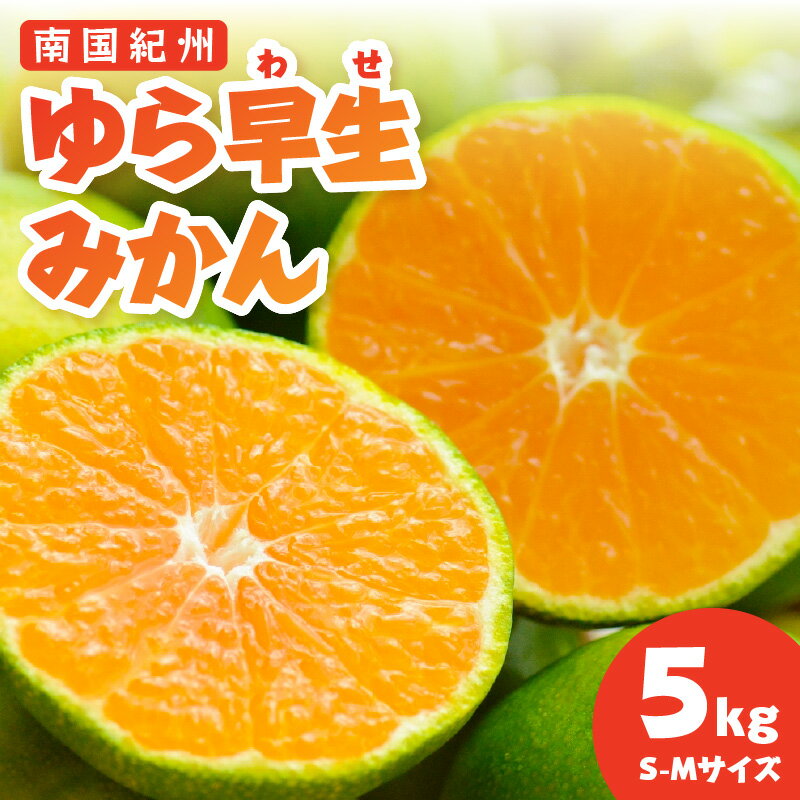 【ふるさと納税】南国紀州のゆら早生みかん《配送不可地域：離島》