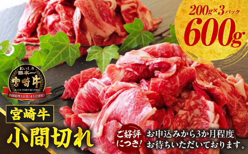 宮崎牛 こま切れ600g ふるさと納税 牛肉 肉 お肉 精肉 挽肉 小間切れ 国産牛 和牛 ブランド牛 贈答 贈り物 ギフト グルメ お取り寄せ 炒め物 料理 アレンジ 牛丼 野菜炒め 肉豆腐 普段使い BBQ 宮崎県 高千穂町 _Tk024-018