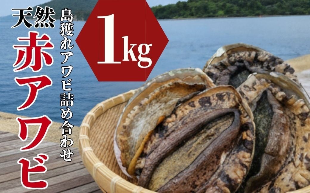 
                  【2月限定/ 数量限定】 海士町産活あわび（赤鮑）1kg 鮑 アワビ あわび 赤鮑 魚介 お刺身 BBQ バター焼き 新鮮 日本
                