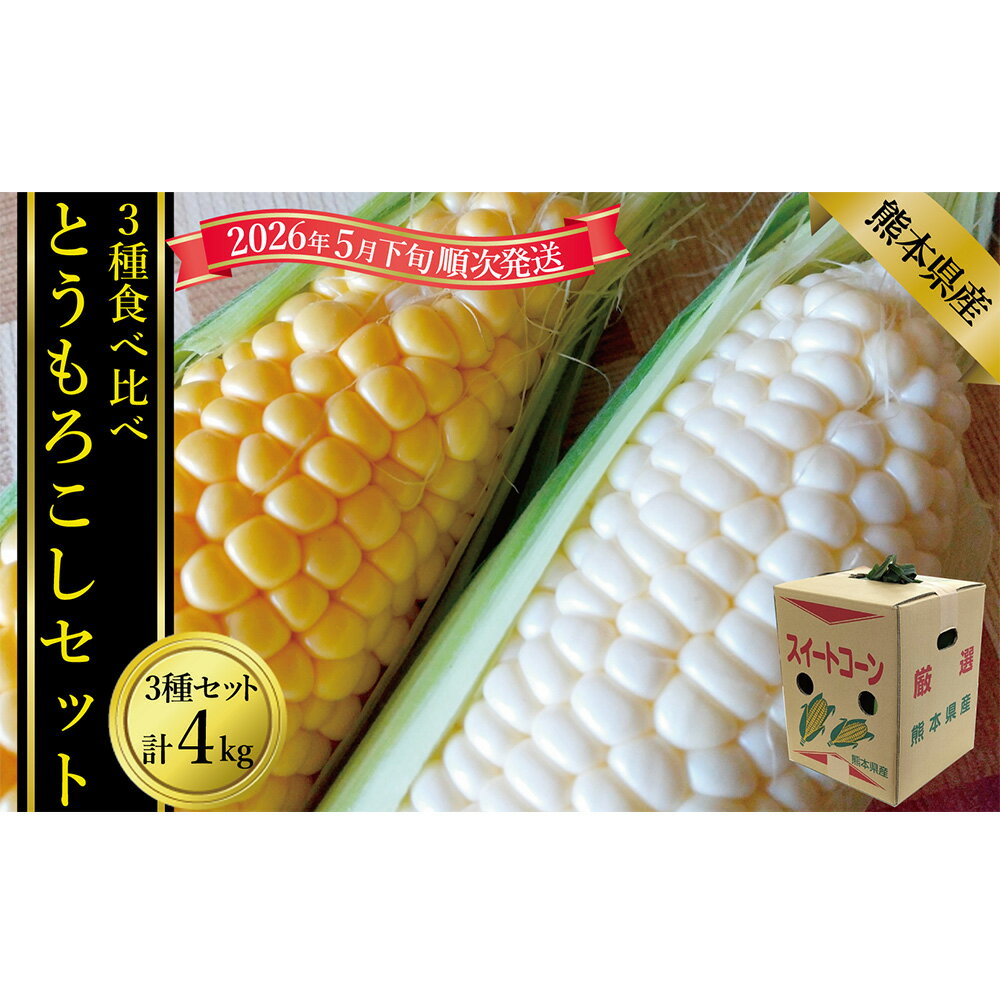 【ふるさと納税】とうもろこし3種食べ比べ（スイートコーン/ゴールドラッシュ/ピュアホワイト等） 合計：約4kg セット とうもろこし トウモロコシ 野菜 やさい サラダ スープ ゆで 蒸し 焼き 冷蔵 家庭用 贈答 ギフト 国産 九州 熊本県産 送料無料 【2026年5月下旬発送開始】