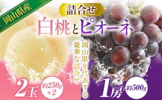 岡山産白桃とピオーネの詰合せ 《2025年7月上旬-8月上旬頃出荷》