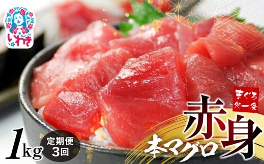 【定期便/計3回】本マグロ赤身1kg（3kg）|鮪 本鮪 本まぐろ マグロ トロ とろ 刺し身 さしみ さかな 海鮮 寿司 解凍レシピ付 1サクずつ真空包装