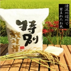 令和5年産　特別栽培米　熊本県相良村産森のくまさん5kg