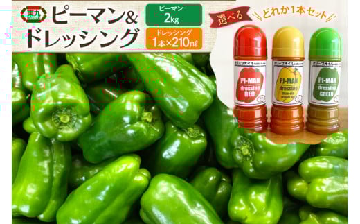 【期間限定発送】 ピーマン 宮崎県産ピーマン 2kg ドレッシング 210ml 赤・黄・緑から 1本 [東九農園 宮崎県 日向市 452061217] 詰め合わせ 宮崎 パリパリ 野菜 やさい サラダ 新鮮 BBQ