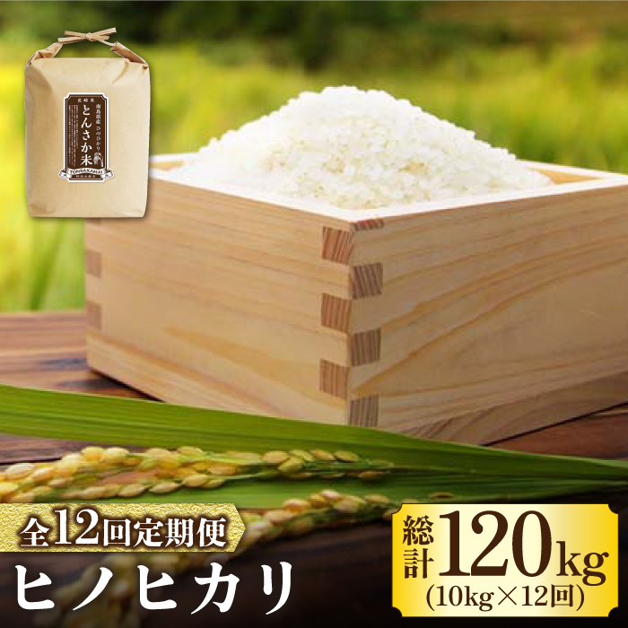 【南島原市産ヒノヒカリ】とんさか米 10kg×12回 定期便 / 米 ヒノヒカリ / 南島原市 / 林田米穀店 [SCO007]