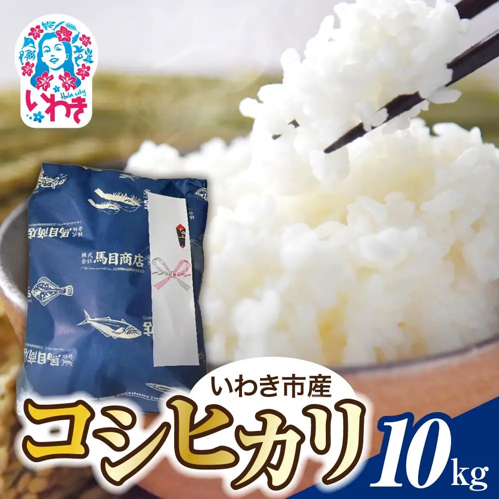 【令和8年産】いわき市産 コシヒカリ 10kg | コシヒカリ 新米