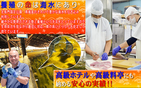 (1057)ふぐ 白子 山口県産とらふぐ とらふぐ白子 200g 冷凍　年内配送