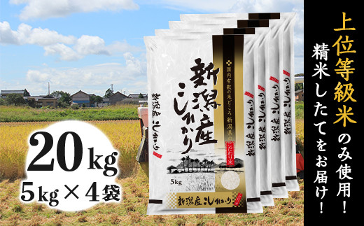 31-K201新潟県産コシヒカリ20kg（5kg×4袋）