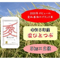 令和5年産 愛知県産 ブランド米 愛ひとつぶ 5kg×2袋　計10kg　パールライス 安城工場精米