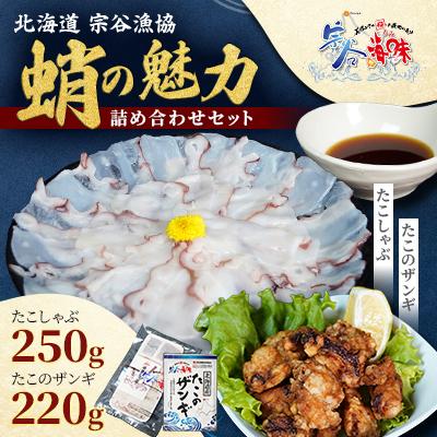 ふるさと納税 稚内市 【宗谷の海味】蛸の魅力詰め合わせセット(たこしゃぶ たこザンギ) 北海道 宗谷漁協