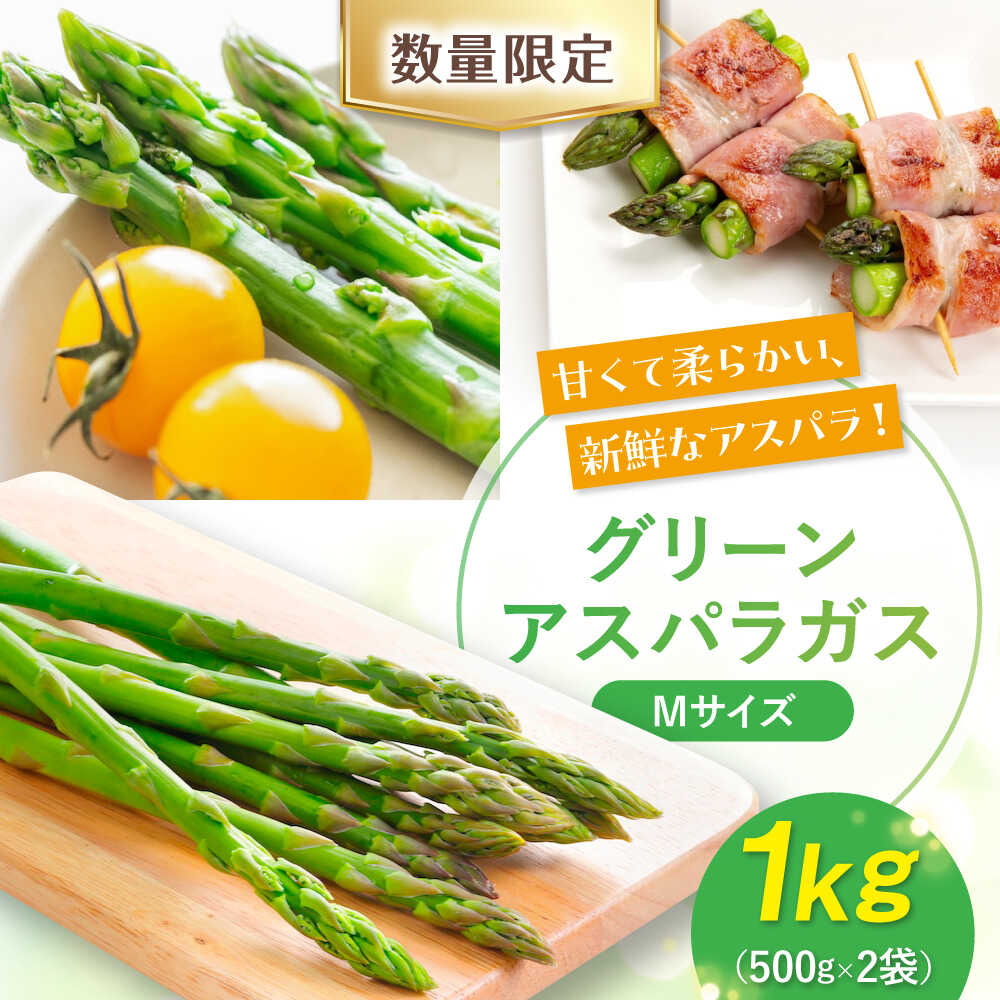 【ふるさと納税】【2026年5月中旬以降順次発送】北海道 朝採れ アスパラ 1kg Mサイズ 《喜茂別町》【ニセコビュープラザ直売会協同組合】 先行予約 アスパラ アスパラガス グリーンアスパラ 冷蔵 冷蔵配送 野菜 春野菜 季節の野菜 [AJAH016] 10000 10000円 1万円