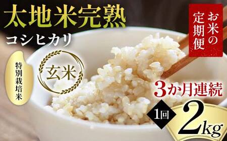 【先行予約】お米の定期便 特別栽培米 太地米完熟 【こしひかり】 玄米2kg×3か月連続 ブランド米 お米 人気 F7X-0688