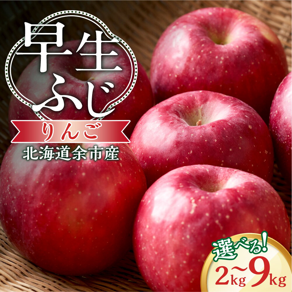 【ふるさと納税】【先行予約2026年10月中旬より発送】 ＼ 内容量が選べる ／りんご（早生ふじ）2kg 2.8kg 5kg 9kg【北海道余市町産】 酸味少ない 甘口りんご みずみずしい りんご ジューシー 果肉やわらか しゃりっとした食感 秋の味覚 北海道特産 北海道 余市町 送料無料