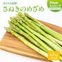 【ふるさと納税】 柔らかい さぬきのめざめ セミロング 30cm Lサイズ 約1kg アスパラガス 野菜 香川県 オリジナル 品種 シャキシャキ 瀬戸内 香川県 高松市 新鮮 長い ロング 送料無料