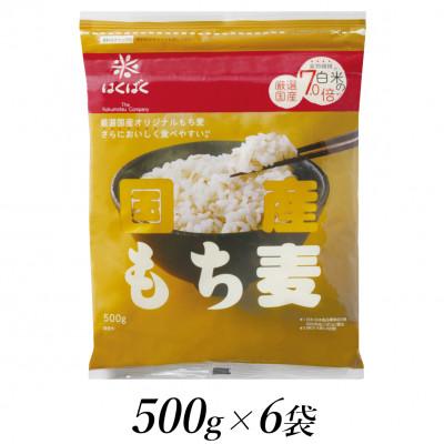 ふるさと納税 南アルプス市 はくばくの国産もち麦　500g×6個