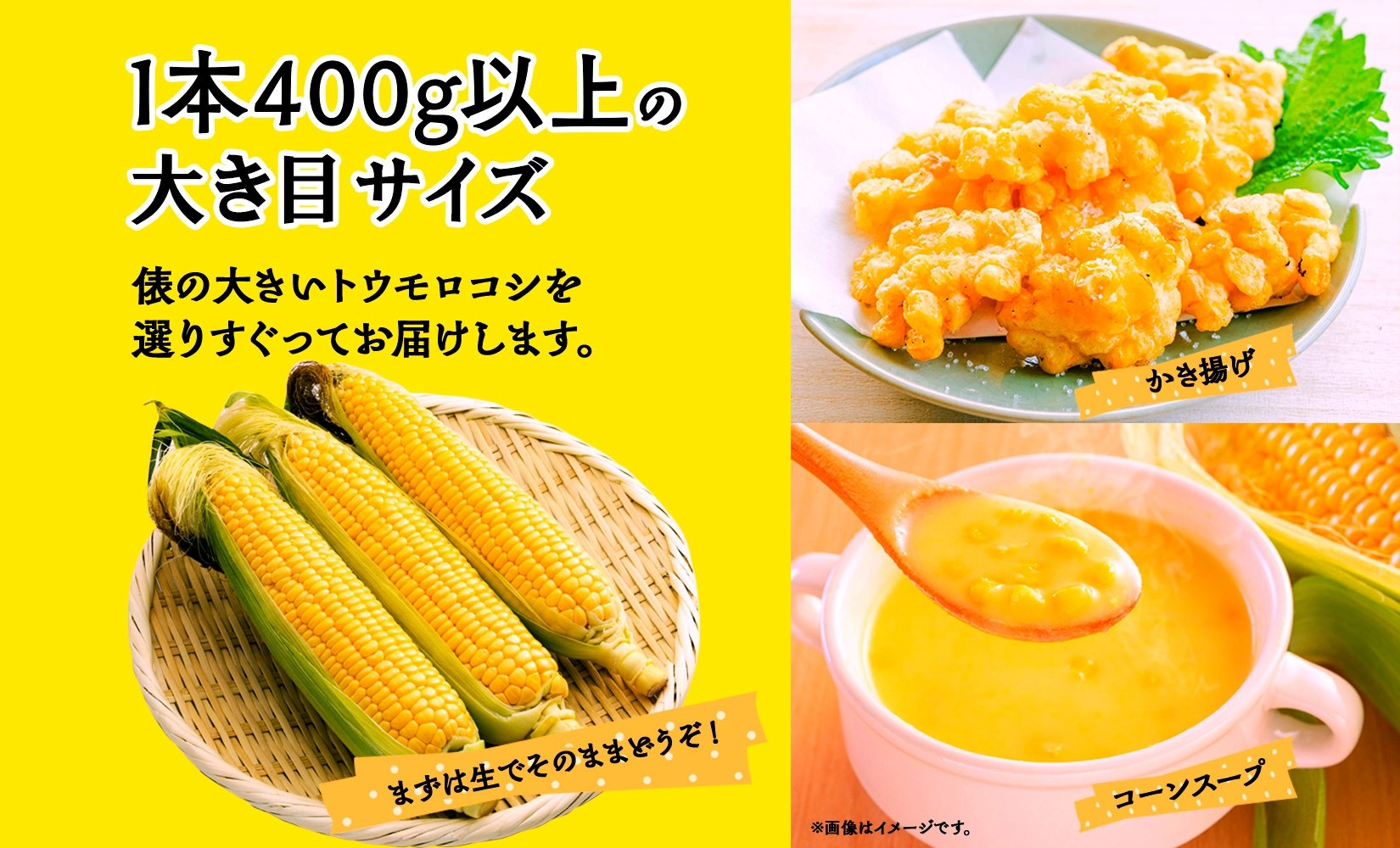 とうもろこし 恵味 ゴールド 400g以上 × 6本 高糖度 トウモロコシ スイートコーン 玉蜀黍 イエローコーン 黄 夏野菜 甘い ジューシー 野菜 おやつ 旬 産地直送 湖南野菜出荷組合 山梨県 