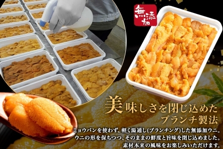 2134. 無地熨斗 ウニ チリ産 冷凍 うに 海鮮 ウニ 200g 4人前 雲丹 丼 海鮮 丼 セット うに 熨斗 のし 名入れ不可 送料無料 北海道 弟子屈町