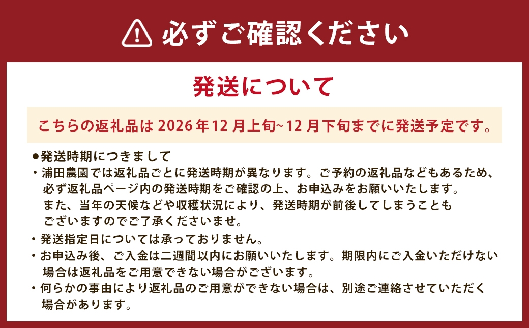 Noelメロン4玉入り（2玉×2箱）