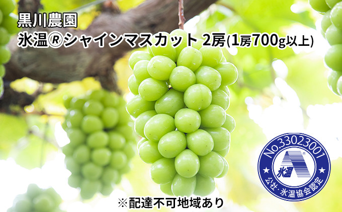 
            早期受付 ぶどう 氷温(登録商標) シャインマスカット 2房（1房700g以上） マスカット ブドウ 葡萄  岡山県産 国産 フルーツ 果物 ギフト 黒川農園 果物類 
          