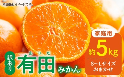 
                  ご家庭用 有田みかん 和歌山県産 S～Lサイズ 大きさお任せ5kg_DZ6202
                