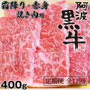 【ふるさと納税】定期便12回 阿波黒牛 霜降り 赤身（焼き肉用）400g 国産牛 ブランド牛 交雑種