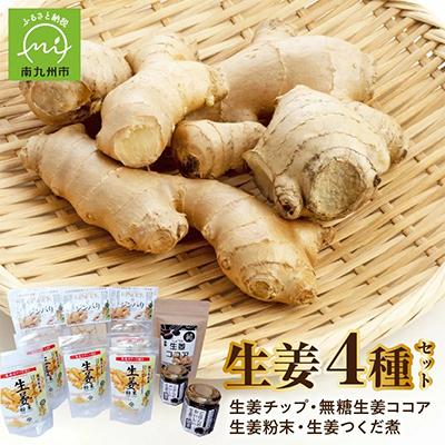 ふるさと納税 南九州市 健康第一!生姜の無添加セット
