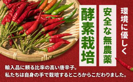 うまい唐がらし料理人の隠し味脇役セット A-F11 とうがらし 唐辛子 調味料 有限会社ヤマサン 東近江 ひがしおうみ とうがらし