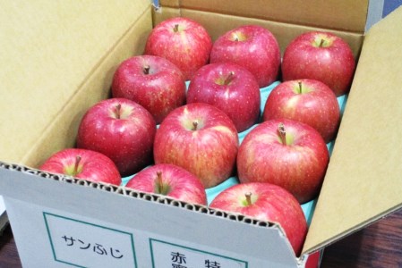 [家庭用向け・多少傷あり] サンふじ りんご 赤特(蜜入り) 約3kg(12玉)｜青森産 つがる 津軽 リンゴ 林檎 果物 フルーツ サンフジ 2025年 令和7年 [0717]