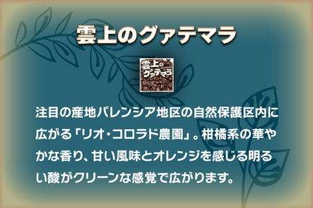 【豆】炭火焙煎コーヒー豆の詰め合せ『バランスのとれた味わい』セット [0316]