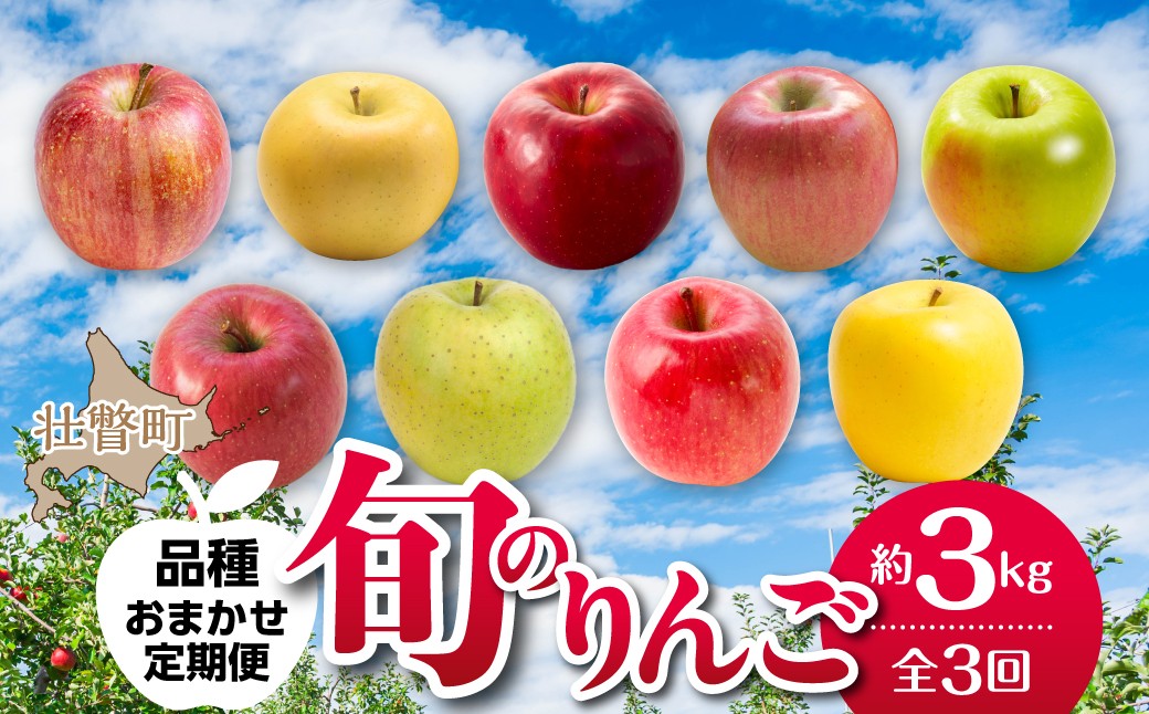 
                  【先行予約】【定期便3回】 北海道壮瞥町産りんご おまかせ食べ比べ 約3kg＜10月・11月・12月お届け＞【ふるさと納税 定期便 人気 おすすめ ランキング りんご リンゴ 林檎 早生ふじ トキ ジョナゴールド シナノスイート ぐんま名月 北斗 王林 サンふじ シナノゴールド 甘い 蜜入り ジュース 酢 送料無料】 SBTF031
                