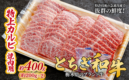 とちぎ和牛の特上カルビ 焼肉用 400g（200g×2）【栃木県共通返礼品】 | 和牛 カルビ 栃木県 茂木町