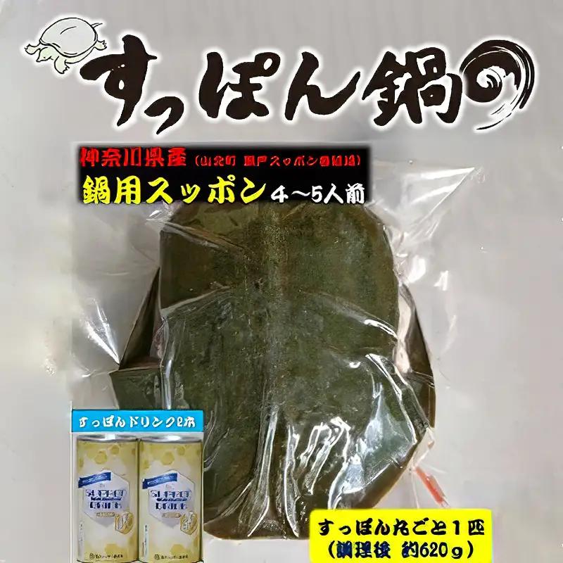 神奈川県産すっぽん鍋（4～5人前　約620ｇ）+すっぽんドリンク2本 【 すっぽん 鍋 ドリンク 国産 肉 神奈川県 山北町 】