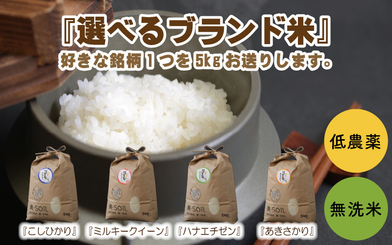 
【令和6年産・新米】【低農薬】福井県産 極上米 5kg 無洗米《こしひかり》《ハナエチゼン》《ミルキークイーン》《あきさかり》[A-8806]
