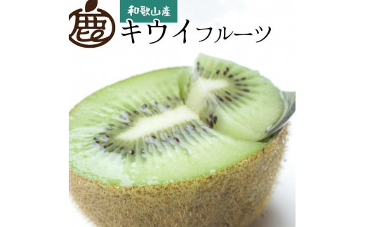 ［先行予約］厳選 キウイ1kg+250g（傷み補償分）【扁平果】［IKE106］